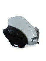CBR 600 F Touring  Windscreen ['01-'06]