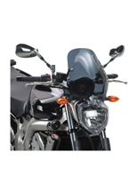 Givi windscreen mount, together with the Yamaha FZ6N ('04-'06)